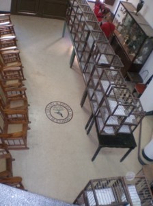 Sociedad Colombófila de la Habana